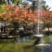 〈長崎公園の紅葉〉～感銘を覚える【美しい写真レポ】